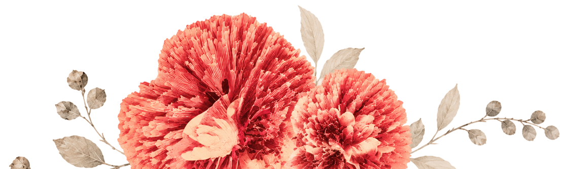 Fleurs (illustration)